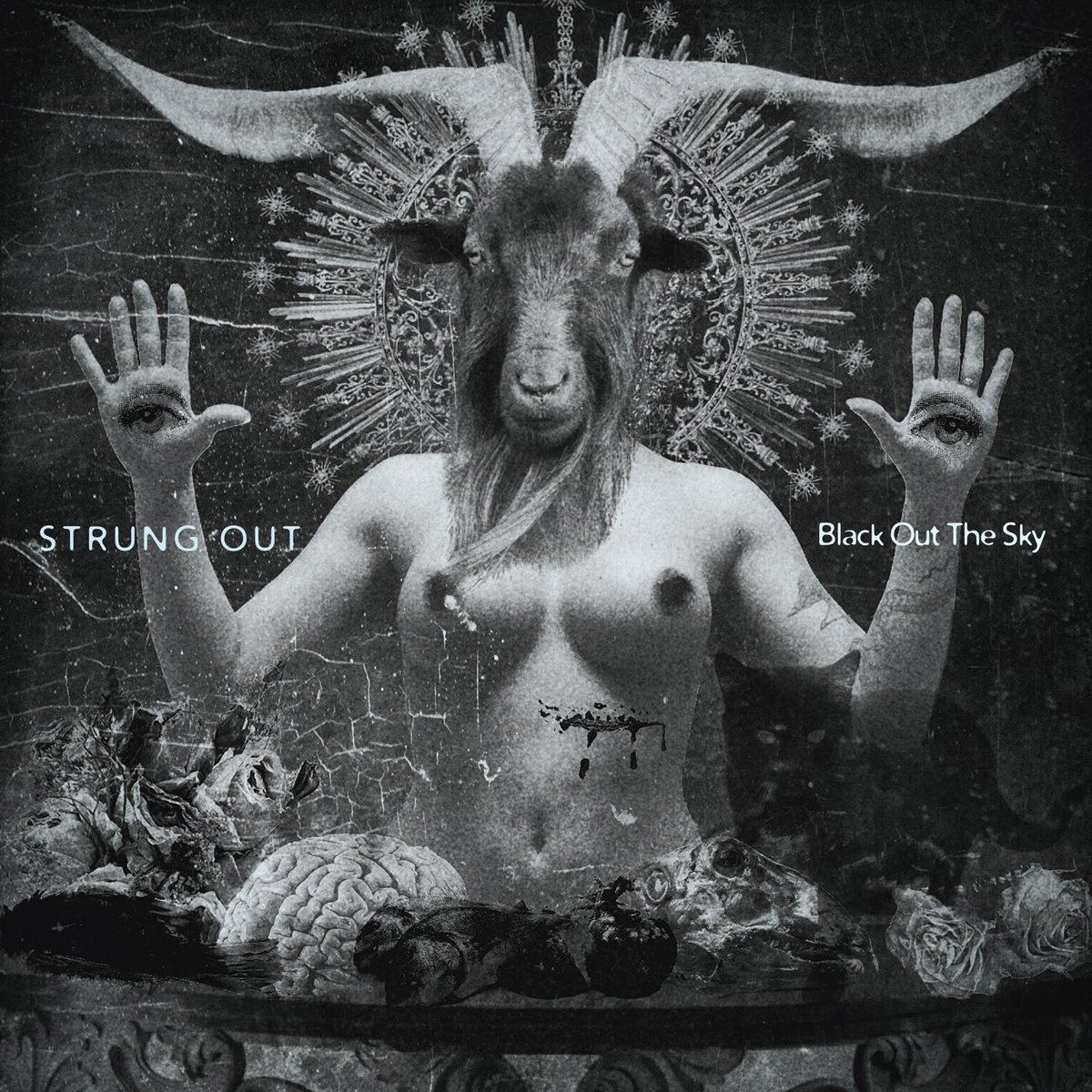 Strung Out Black Out the Sky (CD) Album