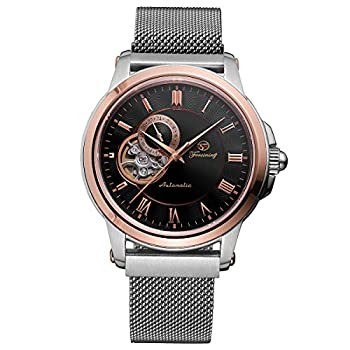 FORSINING Herren Luxus Automatik Mechanische Uhr Mesh Armband Aus Japan