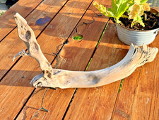 Natural Driftwood for Fish  Reptile Aquariums, Crafts, Decor 21" X 10" X 5"