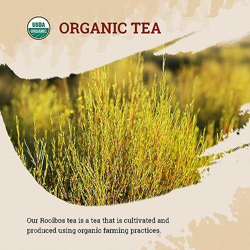 Rooibos Tea Organic, 100 Teabags, Naturally Sweet Herbal Tea, Caffeine Free R...