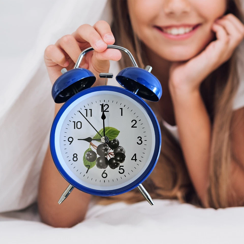 twin bell alarm clock