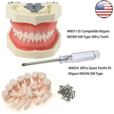 US 28Pcs Dental Typodont Teeth Model Teeth fits Kilgore NISSIN 500 Type Screw-in