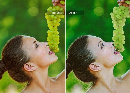 157 Natural Lightroom Presets - Picture 5 of 5