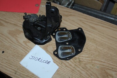 Evinrude Johnson OMC 9.9 15 Intake and Reed Assembly j10RLCDB