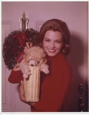 ANGIE DICKENSON  8X10  PHOTO #7555