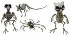 7.5" Set of 4 Bone Skeleton Animals, Heads are Mobile, Reusable Halloween