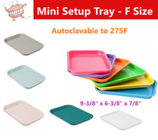 DENTAL FLAT TRAY SIZE F MINI - PLASTIC 9-5/8" X 6-5/8" X 7/8" Autoclavable