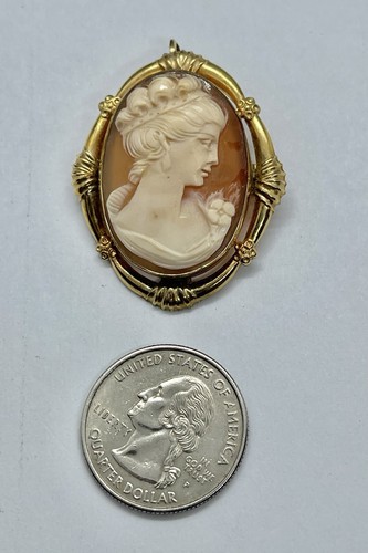Vintage Gold Filled Carved Shell Lady CAMEO Right Facing Ornate Frame Brooch - 第 2/15 張圖片