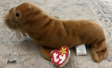 Ty Beanie Baby Paul The Walrus 1999 | ERROR RARE Different Name On Tush Tag!!