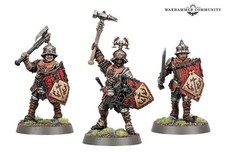 Warhammer Age Of Sigmar AoS Freeguild Steelhelm Mini Of The Month