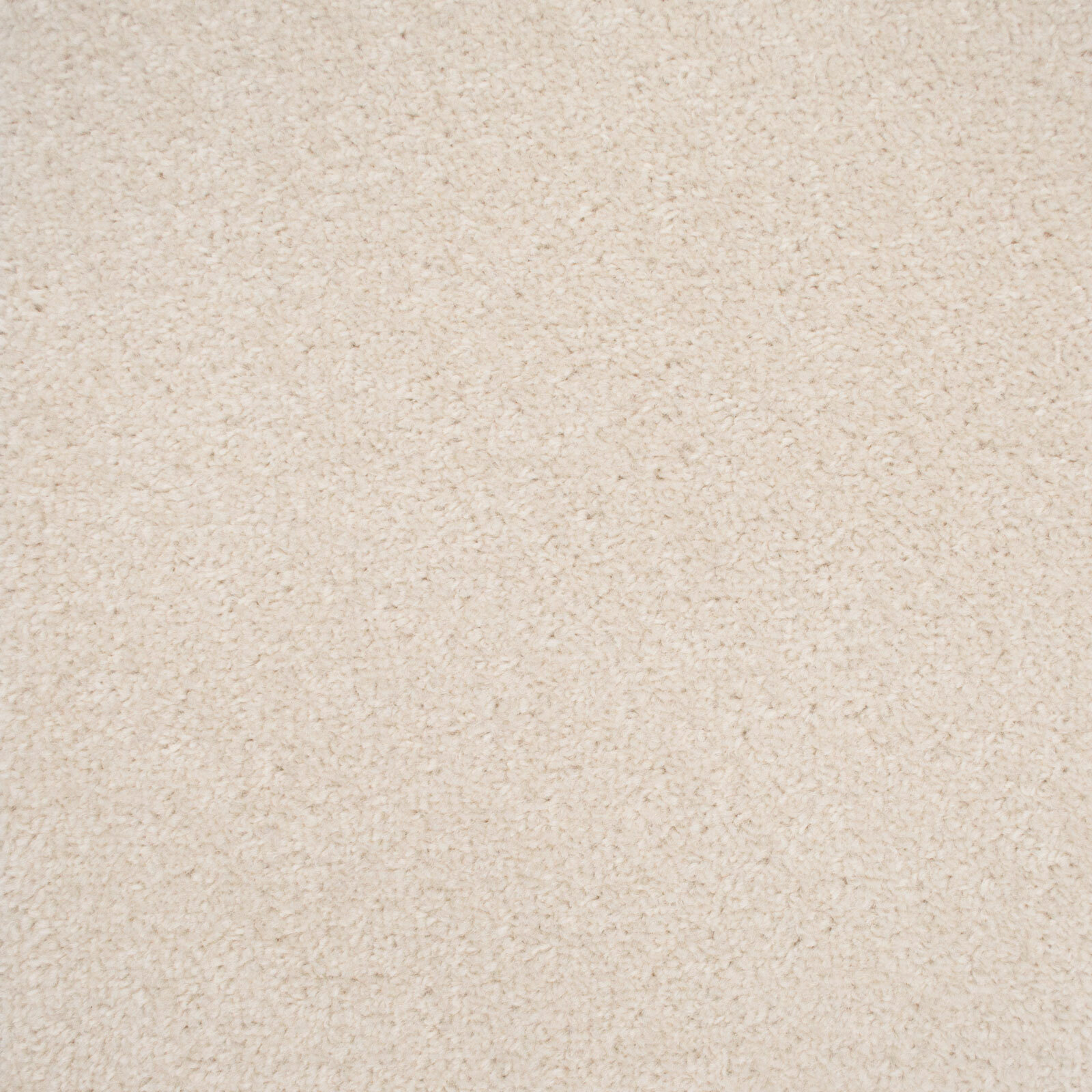 Cheap Carpet Twist Pile Quality Feltback Hardwearing Carpets Lounge