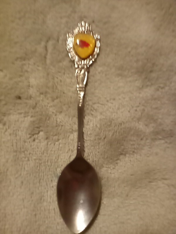 Vintage Arkansas Razorback Collector Spoon