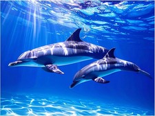 Tile Mural Ocean Dolphins Underwater Marine Life Kitchen Bathroom Art Backsplash