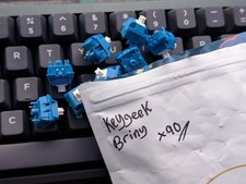Keygeek Briny Linear Mechanical Switches x90 for Mechanical Keyboard