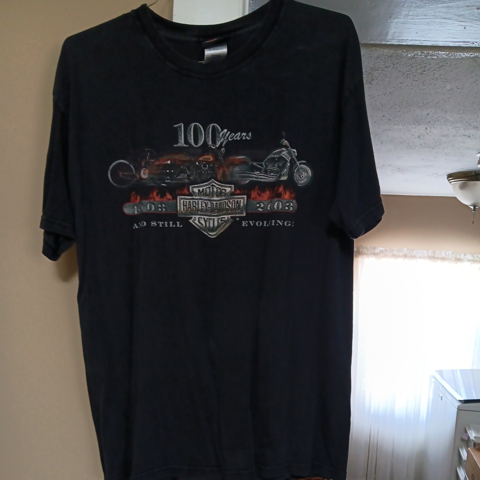 Rare VTG HARLEY DAVIDSON Motorcycles 100 Years 2003 Evolving T Shirt 2000s SZ L