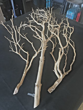 MANZANITA SAND BLASTED BRANCHES  3 