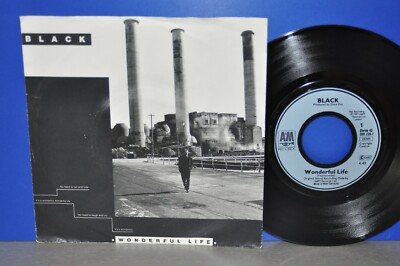 7'' Black Wonderful Life/Life calls Vinyl Single top Vinyl,läuft tip-top