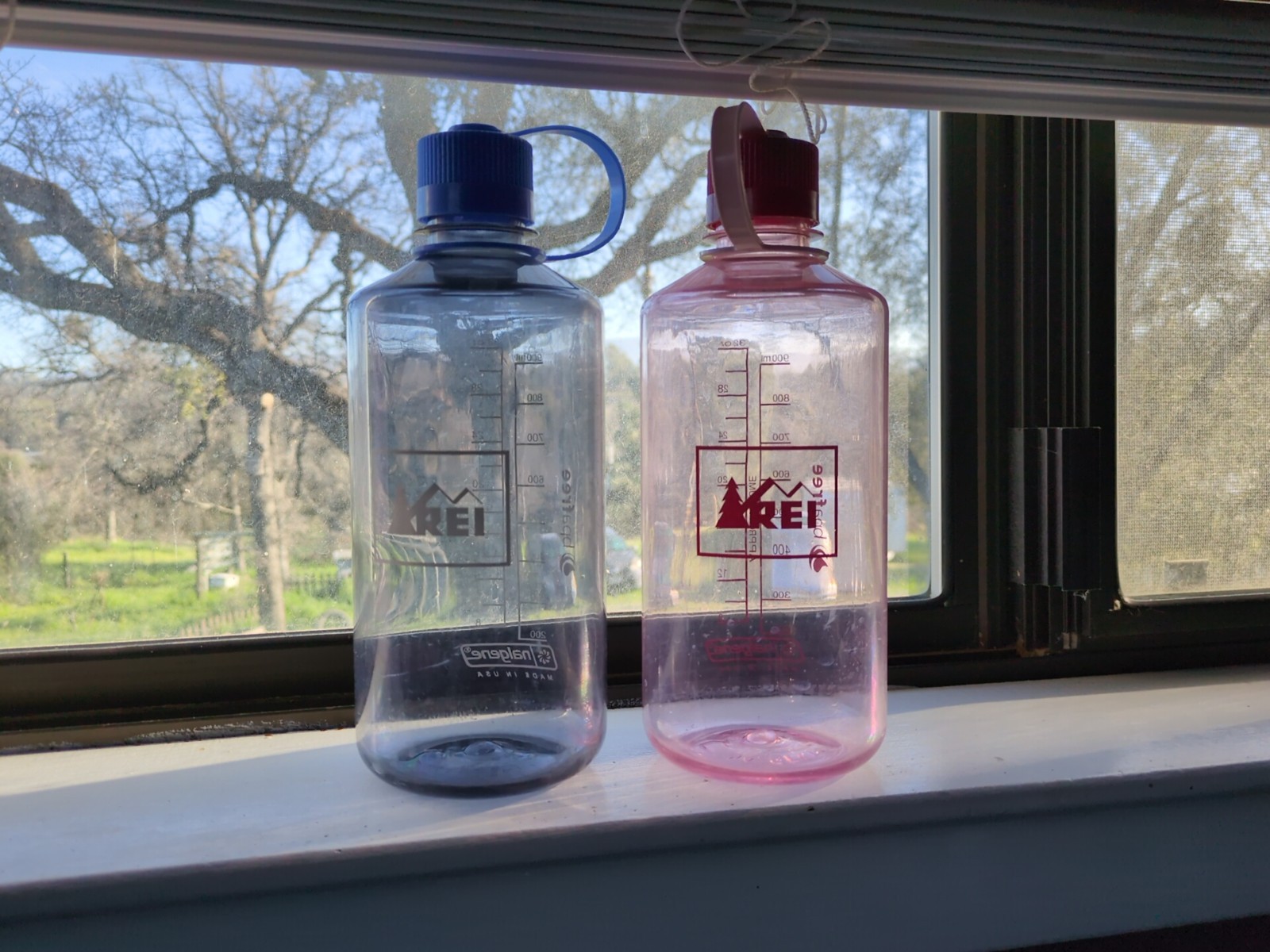 . Clear Pink And Clear Blue