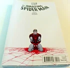 Amazing Spider Man # 655--Funeral of Marla-wife of J JonahJameson--Dan Slott-VF+