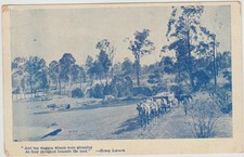 HORSES AND WAGON AUSTRALIA WORDS BY HENRY LAWSON REGAL POSTCARD SYDNEY C1905