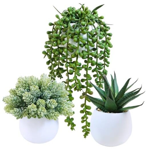 Set of 3 Assorted Artificial Succulent Plants in White Concrete White Pots