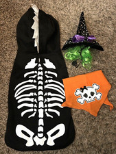 Lote de HALLOWEEN para Perros - Disfraces de Esqueleto y Calabaza - Sombrero de Bruja - Bandana Calavera En muy buena condición