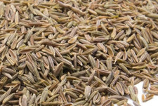 Graines de Cumin,graines germer,produits de mon jardin,plante Bio, non traité