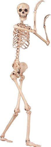 Crazy Bonez Pose-N-Stay Skeleton - Picture 3 of 12