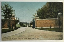 Entrance to White Springs Dairy Farm Geneva NY New York Posted 1911 Postcard
