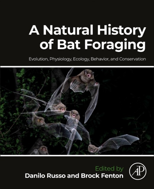 A Natural History of Bat Foraging by Danilo Russo PAPERBACK 9780323918206 - Image 2