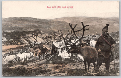 Lap med Ren ved Grotli Carte Postale Postcard