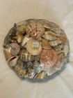 Basket Of Sea Shells From The Philippines  1979 Florida Vacation Trip — photo 1