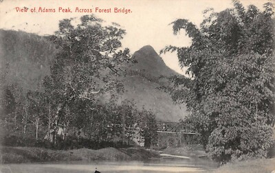 View of Adams Peak Across Forest Bridge Ceylon Postkarte AK 1909