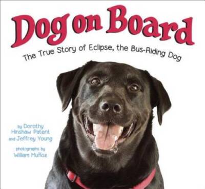 Dog on Board: The True Story of Eclipse, the Bus-Riding Dog - VERY GOOD
