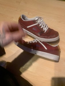 lacoste trainers size 8