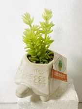 Ceramic Turtle Planter Artificial Succulent Flora Bunda NWT
