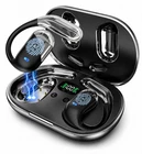 AI Translation Earbuds Real Time 144 Languages Wireless Bluetooth Translator New