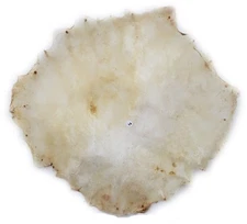 Banjo Snare Marching Dejembe Bodhran Frame Hand Drum 22" NATURAL UNCUT Skin Head