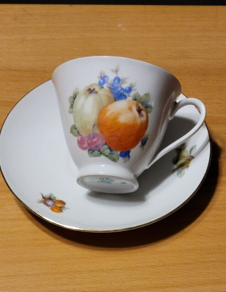 Bavaria Schumann Arzberg Germany Orchard Footed 1 Cup & Saucer 