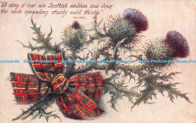 R270063 Ich singe our ain schottisches Emblem Sae Dear die weit verbreitete robuste Au