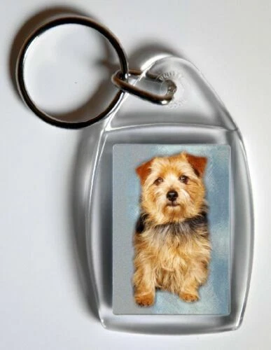 Caroline's Treasures Decorazione Natalizia In Ceramica - Norwich Terrier Con Corda Oro, 7 Cm, Personalizzabile