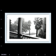 Old Vintage Photo PALM TREES AND FRONT PORCH