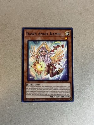 Dawn Angel Kambi ALIN-EN081 Common 1st Edition Alliance Insight Yugioh