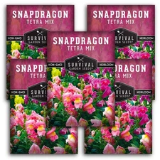 - Snapdragon Tetra Mix Seed for Planting - 5 Packs with Instructions to Plant...
