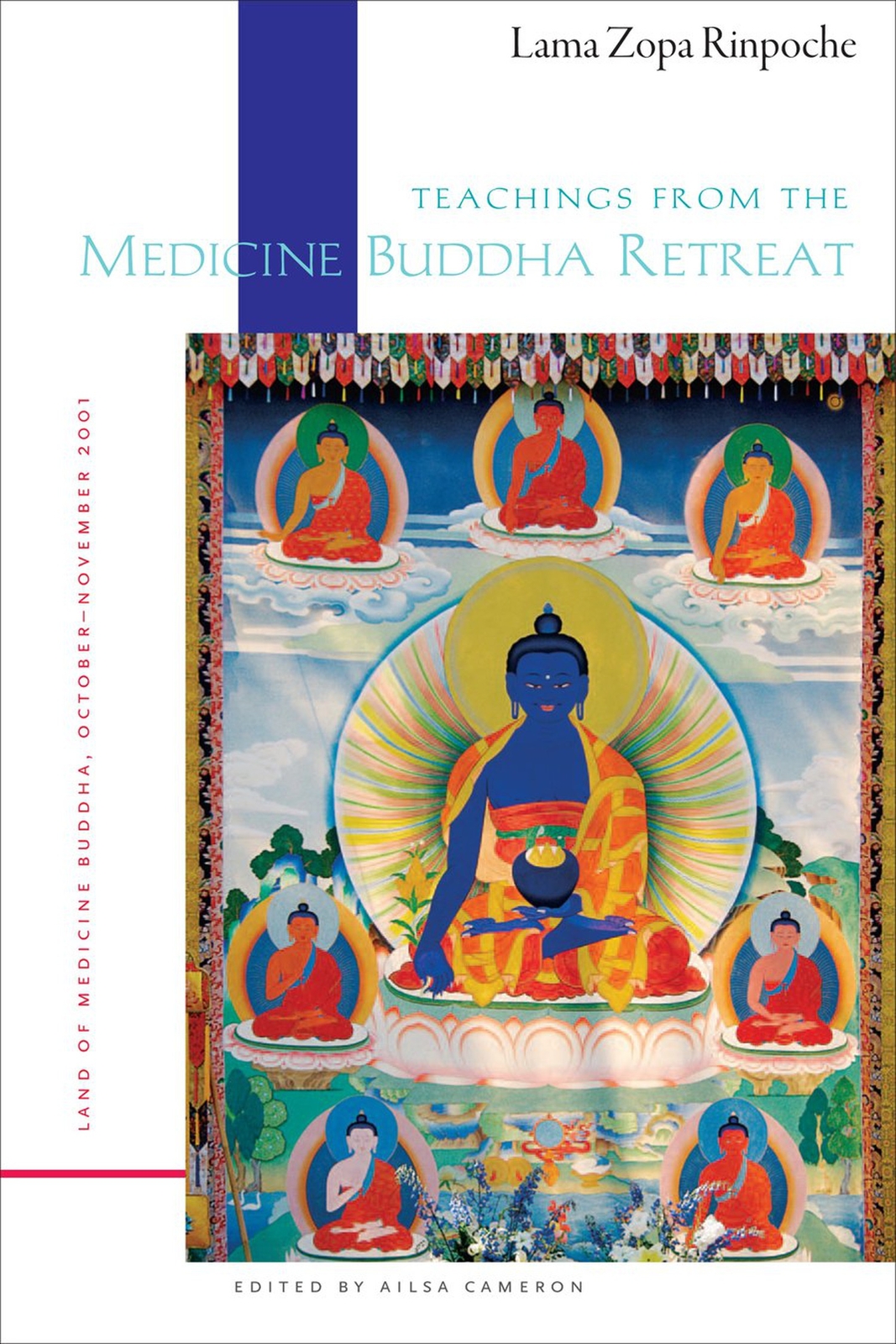 Teachings from the Medicine Buddha Retreat: Land of Medicine Buddha