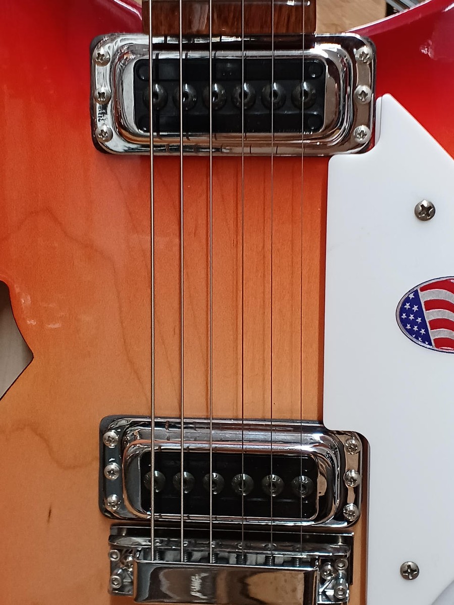 RICKENBACKER 330FG w/OHSC Used Electric Gutiar | eBay