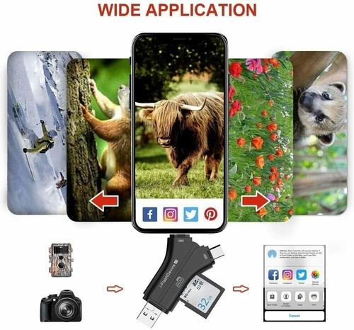 SD Card Viewer for Trail Camera - Picture 6 of 6