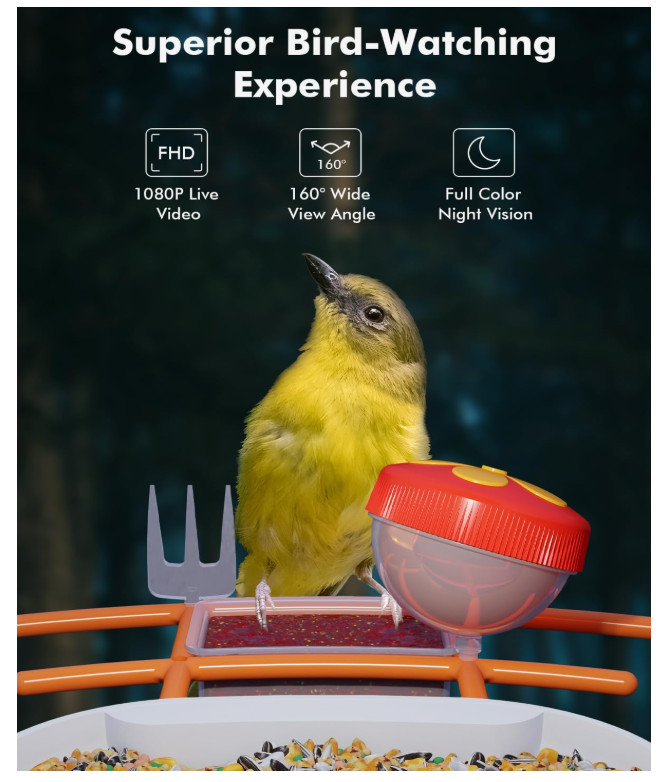 Smart Bird Feeder with Camera Solar Powered, Bird Watching, AI Identify Bird Spe