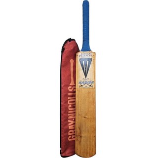 DUNCAN FEARNLEY Rapier Cricket Bat with GRAY NICOLLS Cover Good Condition TH
