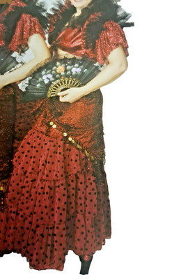 Bauchtanz Arabic-Flamenco Spanien Karneval Fasching Gr. M Tribal